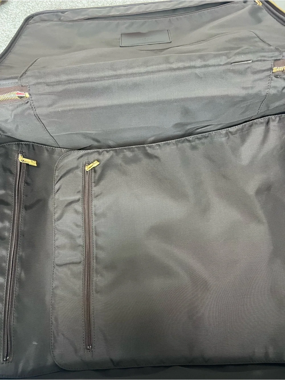 Louis Vuitton Damier Ebene Pegase 50 with hanger, garment bag etc